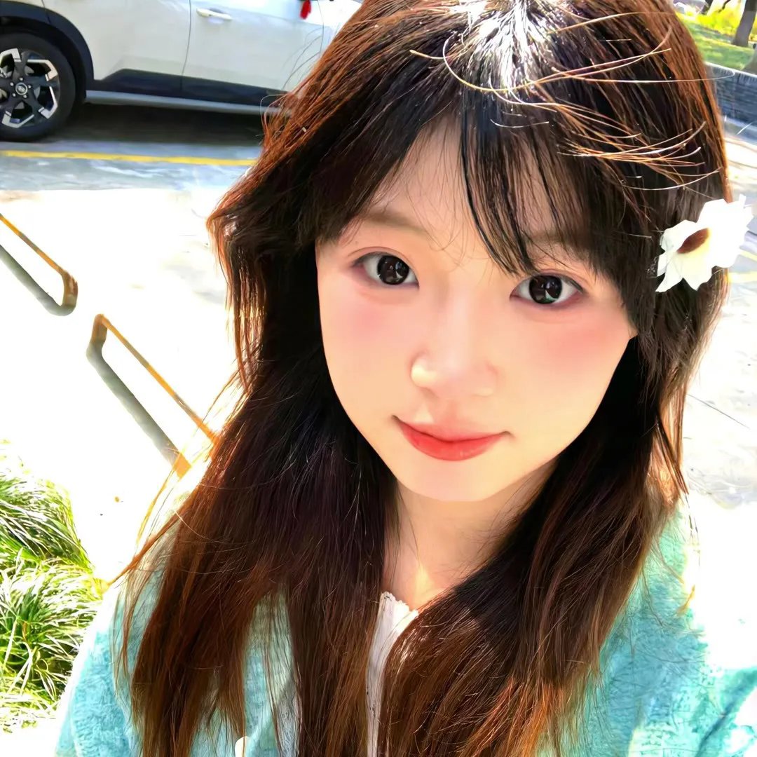 猫与爷爷